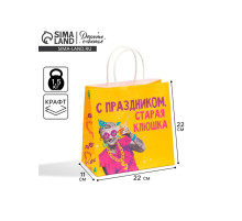Пакет подарочный «Старая клюшка», 22×22×11 см