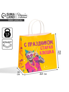 Пакет подарочный «Старая клюшка», 22×22×11 см