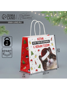 Пакет подарочный новогодний крафтовый «Котик», 22×22×11 см