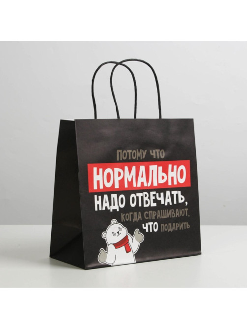 Пакет подарочный новогодний «Нормально надо отвечать», 22×22×11 см