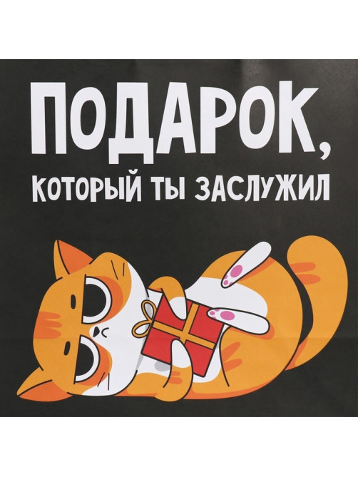 Пакет подарочный крафтовый, упаковка, «Киса», 28×32×15 см