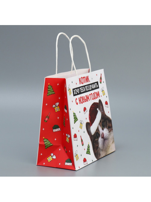 Пакет подарочный новогодний крафтовый «Котик», 22×22×11 см