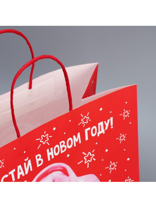Пакет подарочный новогодний крафтовый «Блистай», 28×32×15 см