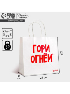 Пакет подарочный крафт, упаковка, «Гори огнем», 22×22×11 см
