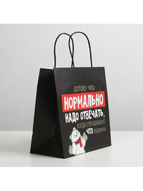 Пакет подарочный новогодний «Нормально надо отвечать», 22×22×11 см