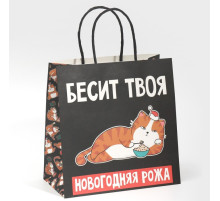 Пакет подарочный новогодний «Рожа», 22×22×11 см