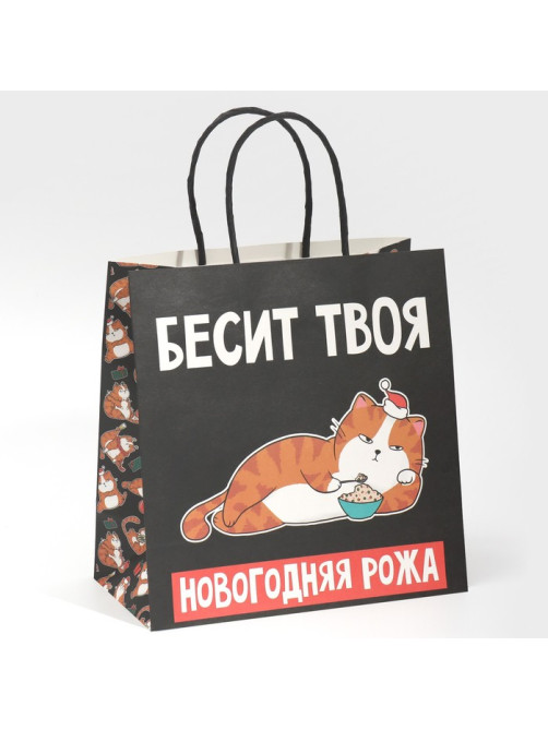 Пакет подарочный новогодний «Рожа», 22×22×11 см