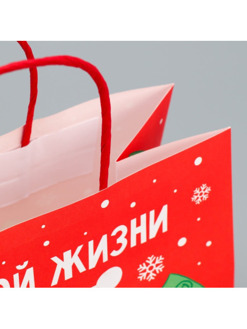 Пакет подарочный новогодний крафтовый «Что-то на богатом», 22×22×11 см