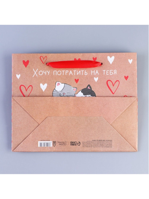 Пакет подарочный крафтовый, упаковка, «Потрачу девять жизней», MS 18×23×8 см