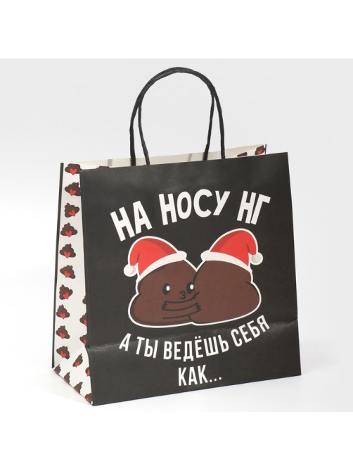 Пакет подарочный новогодний «На носу НГ», 22×22×11 см