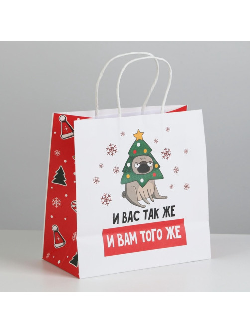 Пакет подарочный новогодний «А вас также», 22×22×11 см