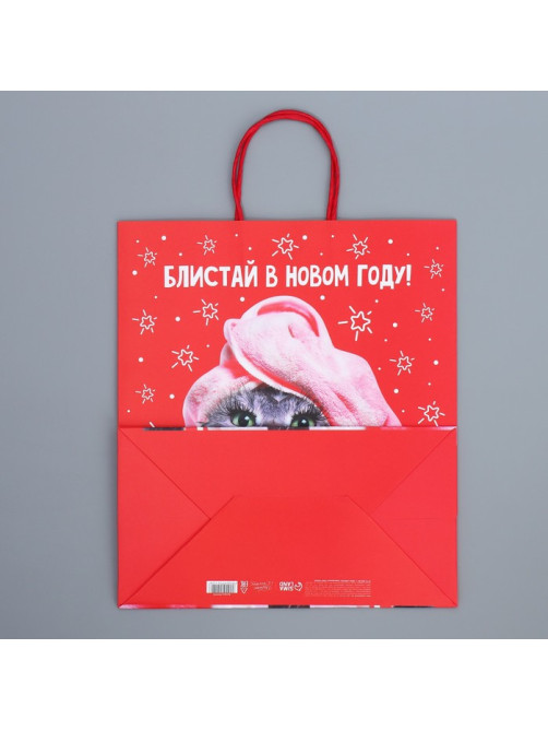 Пакет подарочный новогодний крафтовый «Блистай», 28×32×15 см