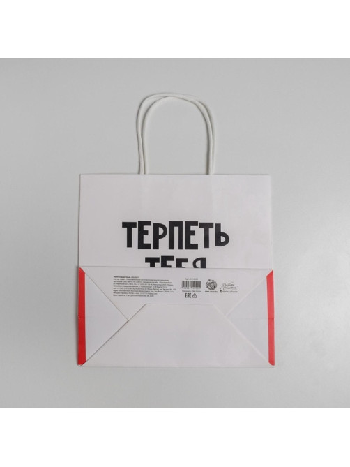 Пакет подарочный, упаковка, «Терпеть тебя не могу», 22×22×11 см