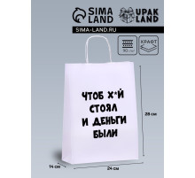 Пакет подарочный «Чтоб деньги были», 24×14×28 см