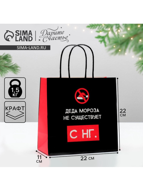 Пакет подарочный новогодний «Деда мороза не существует», 22×22×11 см