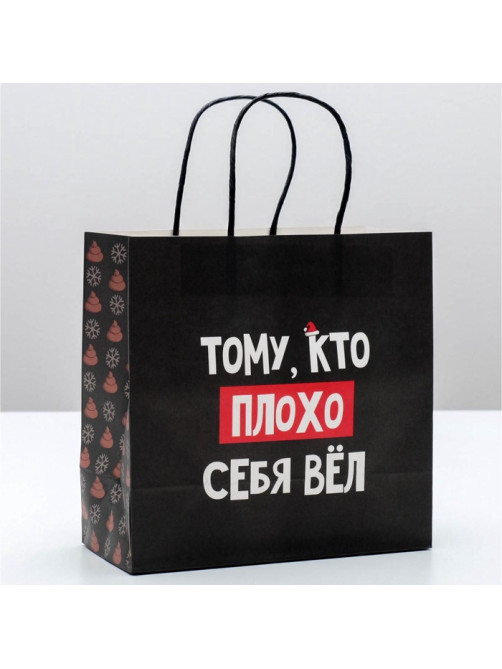 Пакет подарочный новогодний «Кто плохо себя вёл», 22×22×11 см