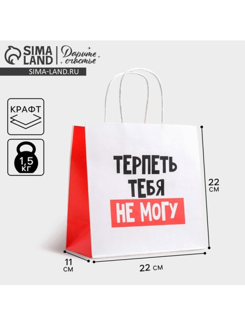 Пакет подарочный, упаковка, «Терпеть тебя не могу», 22×22×11 см