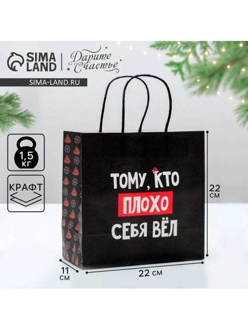 Пакет подарочный новогодний «Кто плохо себя вёл», 22×22×11 см