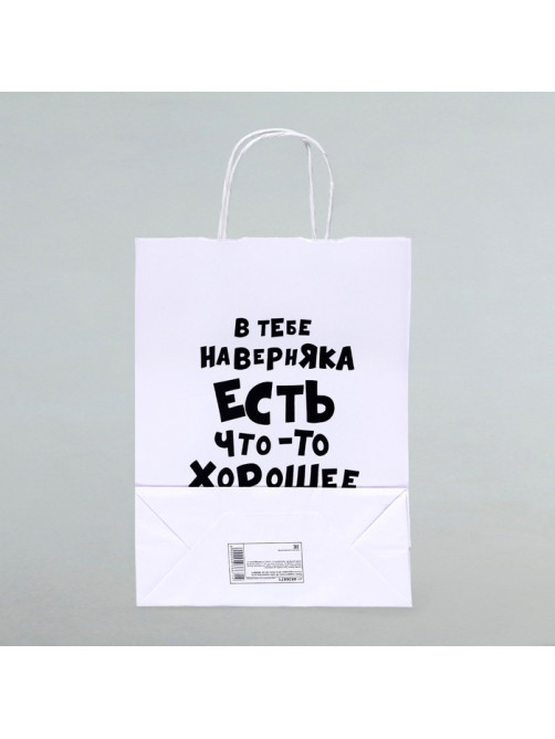 Пакет подарочный «В тебе наверняка есть что - то хорошее», 24×14×28 см, 1 шт.