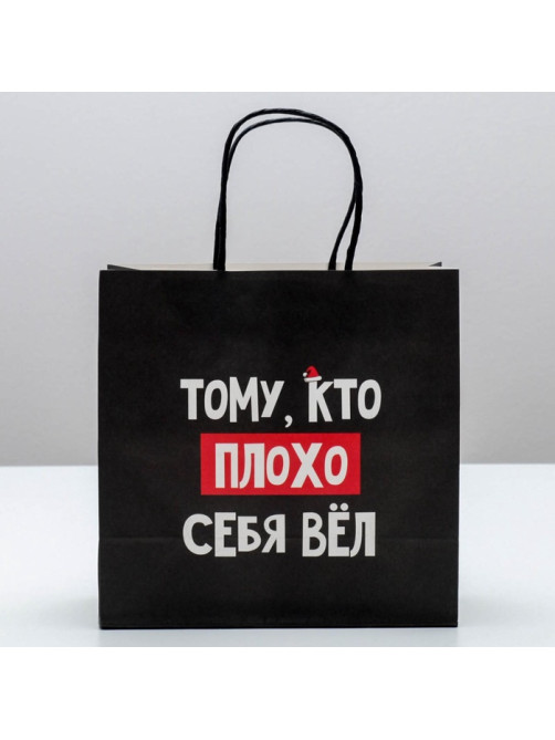 Пакет подарочный новогодний «Кто плохо себя вёл», 22×22×11 см