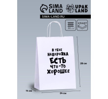Пакет подарочный «В тебе наверняка есть что - то хорошее», 24×14×28 см, 1 шт.