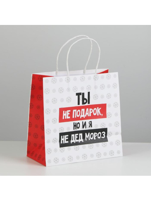 Пакет подарочный новогодний «Ты не подарок», 22×22×11 см