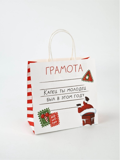 Пакет подарочный новогодний крафтовый «Молодец», 22×22×11 см
