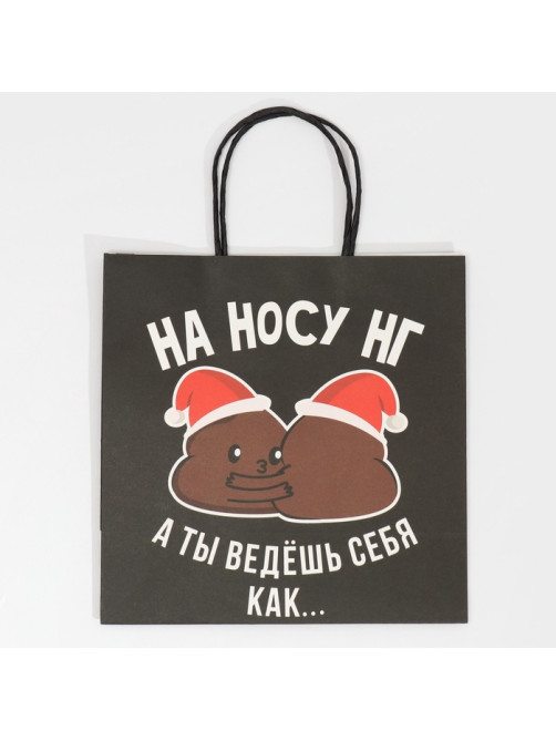 Пакет подарочный новогодний «На носу НГ», 22×22×11 см