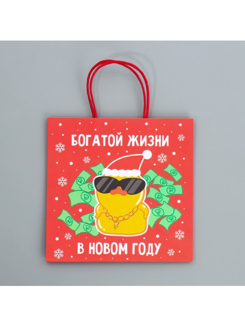 Пакет подарочный новогодний крафтовый «Что-то на богатом», 22×22×11 см