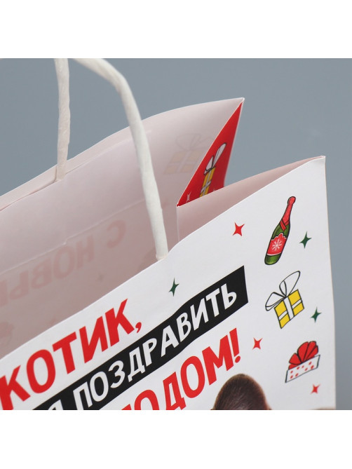Пакет подарочный новогодний крафтовый «Котик», 22×22×11 см