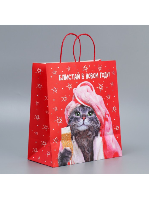 Пакет подарочный новогодний крафтовый «Блистай», 28×32×15 см