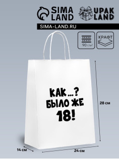 Пакет подарочный «Как было же 18», 24×14×28 см