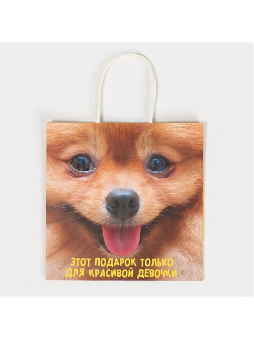 Пакет подарочный, упаковка, «Подарочек», 22×22×11 см