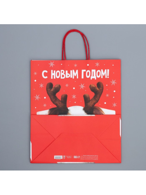 Пакет подарочный новогодний крафтовый «С Новым годом», 28×32×15 см