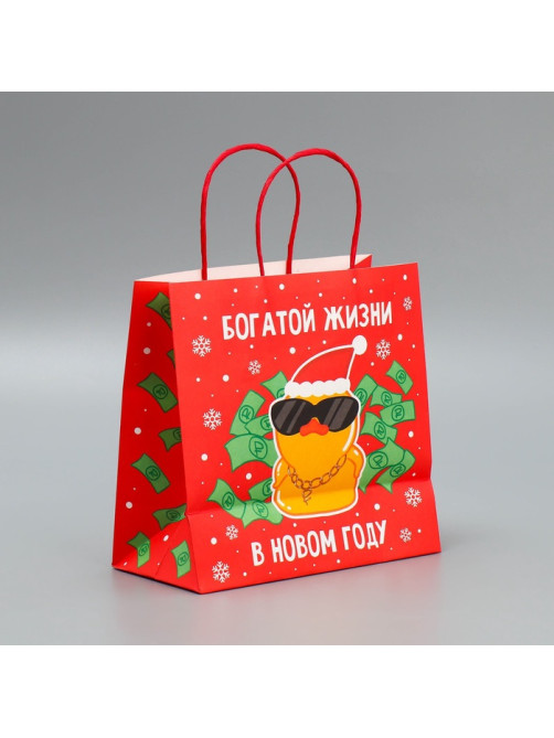 Пакет подарочный новогодний крафтовый «Что-то на богатом», 22×22×11 см