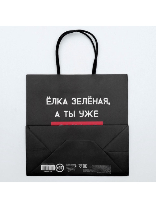 Пакет подарочный новогодний «А ты уже синяя», 22×22×11 см