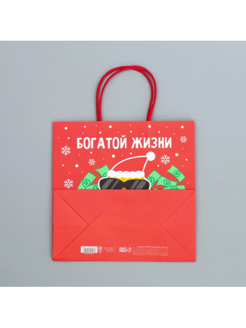 Пакет подарочный новогодний крафтовый «Что-то на богатом», 22×22×11 см
