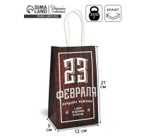 Пакет подарочный крафт, упаковка, «С 23 февраля», 12×21×9 см