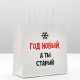 Пакет подарочный новогодний «Год Новый, а ты старый», 22×22×11 см