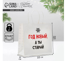 Пакет подарочный новогодний «Год Новый, а ты старый», 22×22×11 см