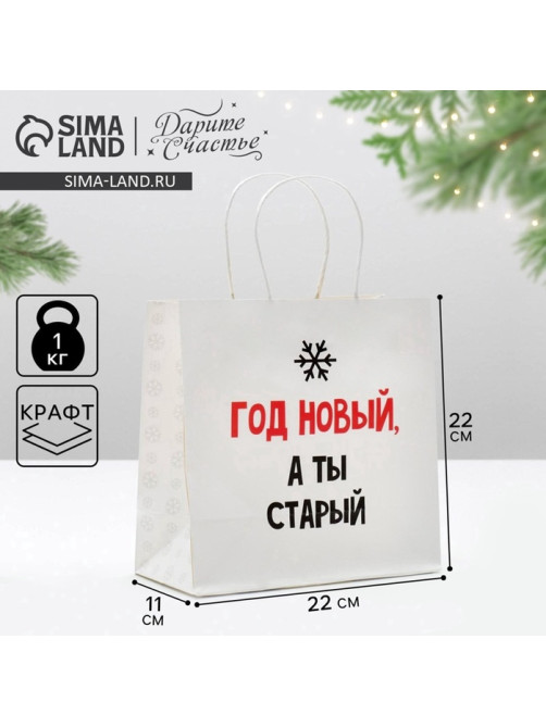 Пакет подарочный новогодний «Год Новый, а ты старый», 22×22×11 см