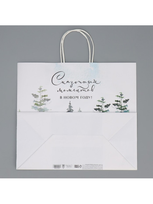 Пакет подарочный новогодний крафтовый «Сказка», 32×28×15 см
