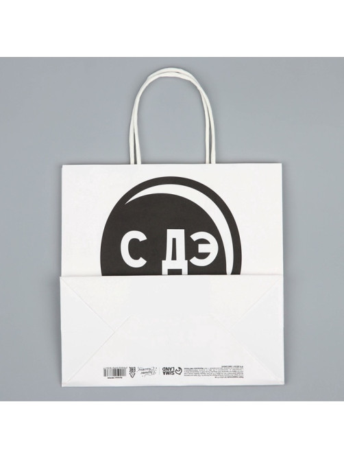 Пакет подарочный, упаковка, «С Дэ Рэ», 22×22×11 см