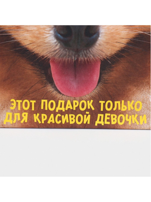 Пакет подарочный, упаковка, «Подарочек», 22×22×11 см