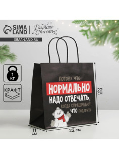 Пакет подарочный новогодний «Нормально надо отвечать», 22×22×11 см