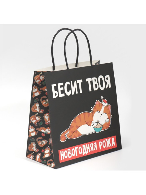 Пакет подарочный новогодний «Рожа», 22×22×11 см