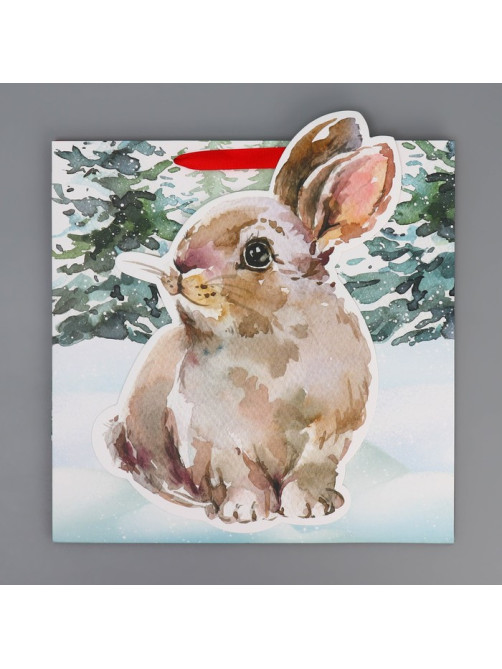 Пакет подарочный новогодний «Зайчик», 30×30×15 см