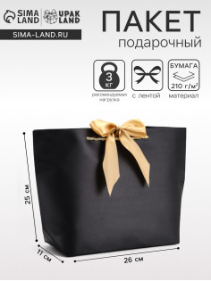 Пакет подарочный ламинированный, с лентой «Чёрный», горизонтальный, 26×25×11 см