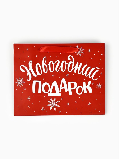 Пакет подарочный ламинированный «Новогодний подарок», MS 23×18×10 см