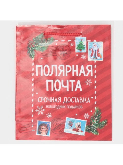 Пакет подарочный новогодний ламинированный «Полярная почта», ML 21×25×8 см
